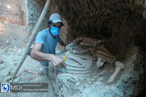 کاوش دو اسکلت زن و یک اسب دوره اشکانی در تپه اشرف اصفهان