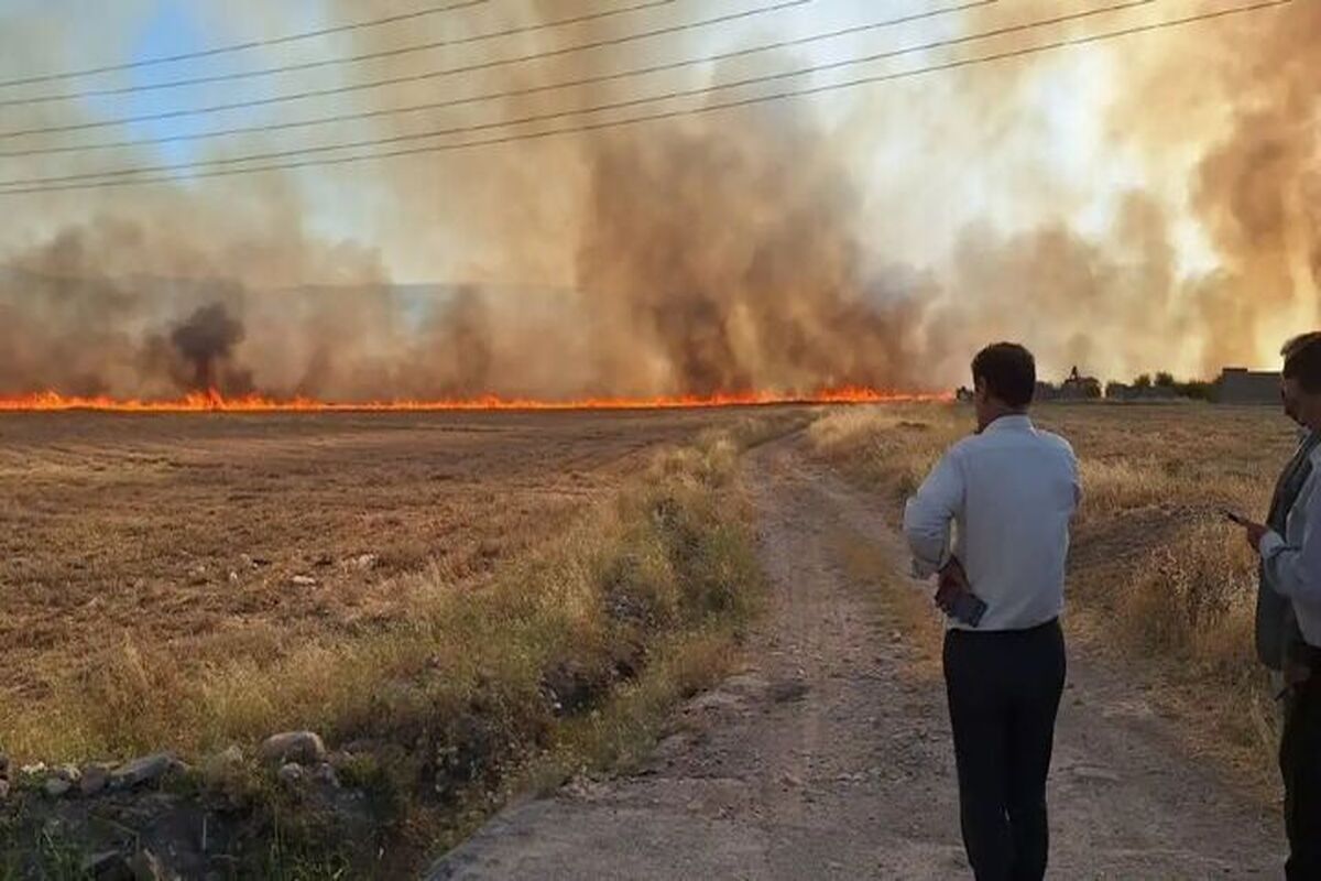 آتش سوزی در منطقه بلبزان شهرستان پاوه