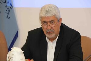 مطالبات ارزی واردکنندگان نهاده های دامی را پرداخت کنید