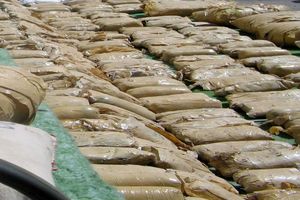 دستگیری توزیع کننده مواد مخدر با بیش از 116 کیلوگرم تریاک