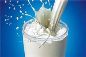 وجود سم آفلاتوکسین در مواد لبنی کذب محض است