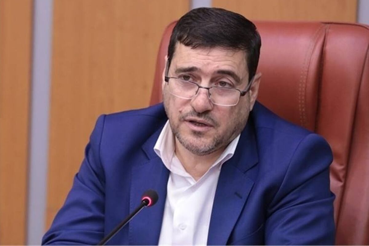 مدیرعامل سازمان بنادر و دربانوردی