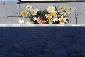 عملیات زیبا سازی دیوارهای سطح شهر در فلاورجان انجام شد