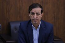 سگ‌های بدون صاحب به صورت اصولی از سطح شهر جمع آوری می‌شوند