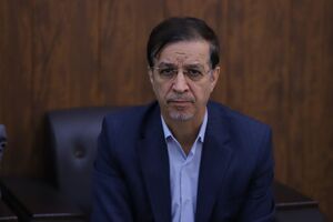 سگ‌های بدون صاحب به صورت اصولی از سطح شهر جمع آوری می‌شوند