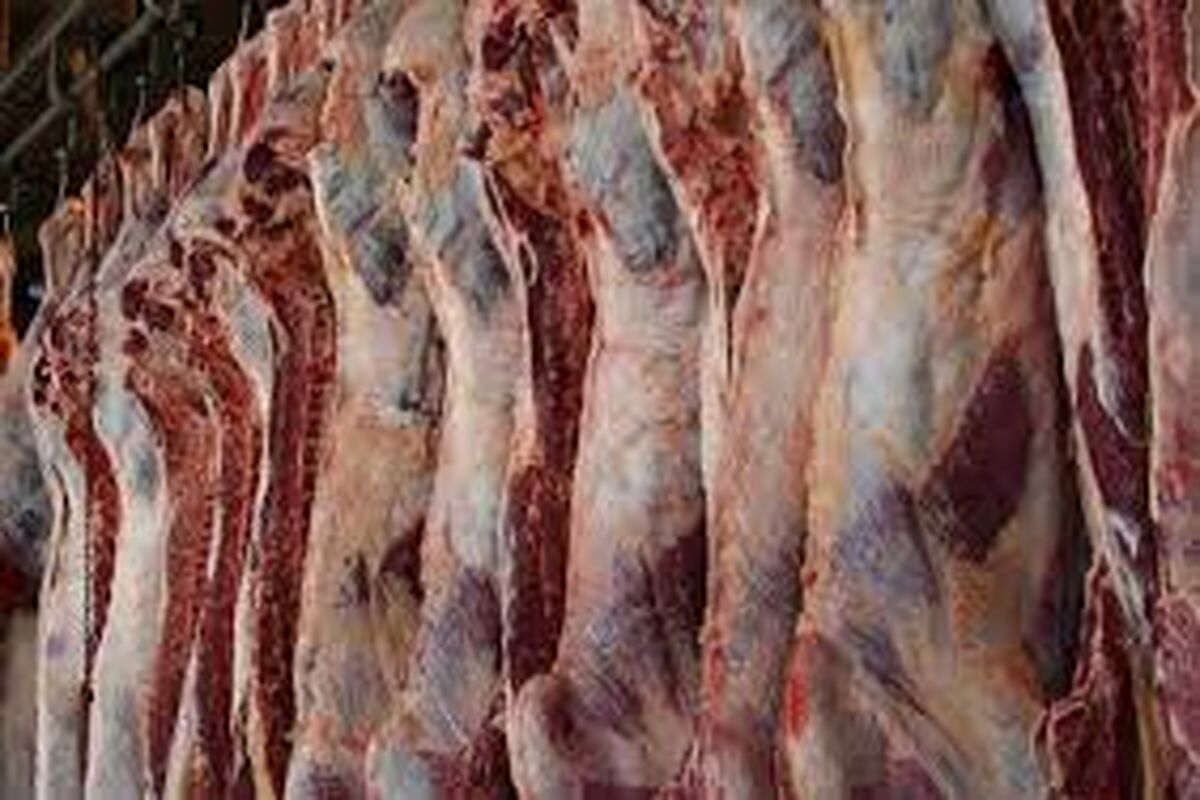 گوشت قرمز
