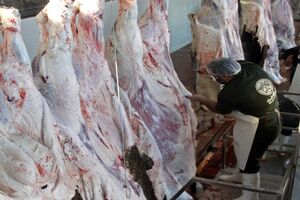تبدیل کشتارگاه سُنتی اراک به صنعتی