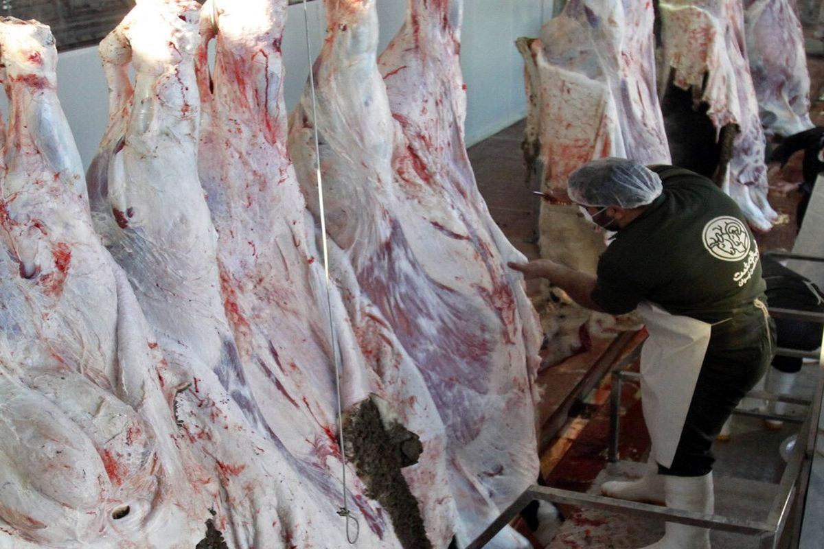 کشتارگاه سنتی