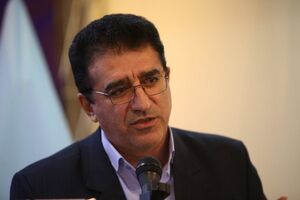 دبیر شورای فرهنگ عمومی درباره جشنواره‌های رضوی واکنش نشان داد