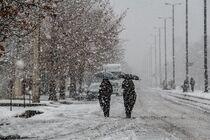 بارش برف زمستانی در بوئین میاندشت و فریدن