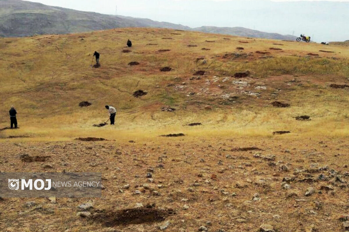 کپه کاری رومشکان