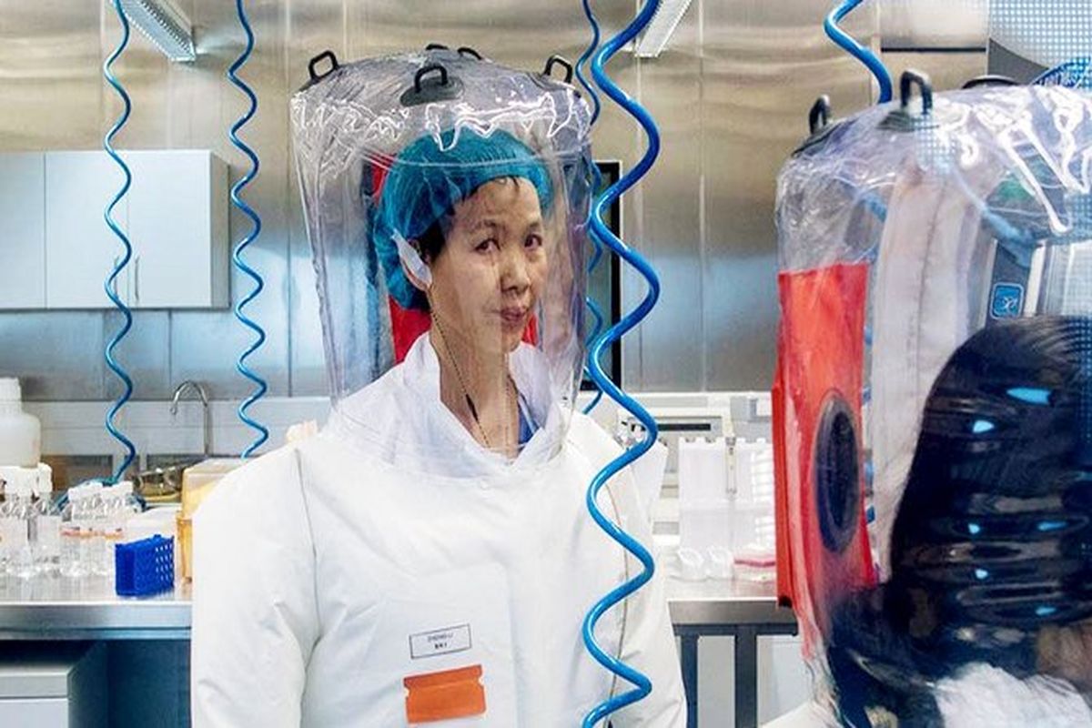 تحقیقات در زمینه منشا شیوع ویروس کرونا