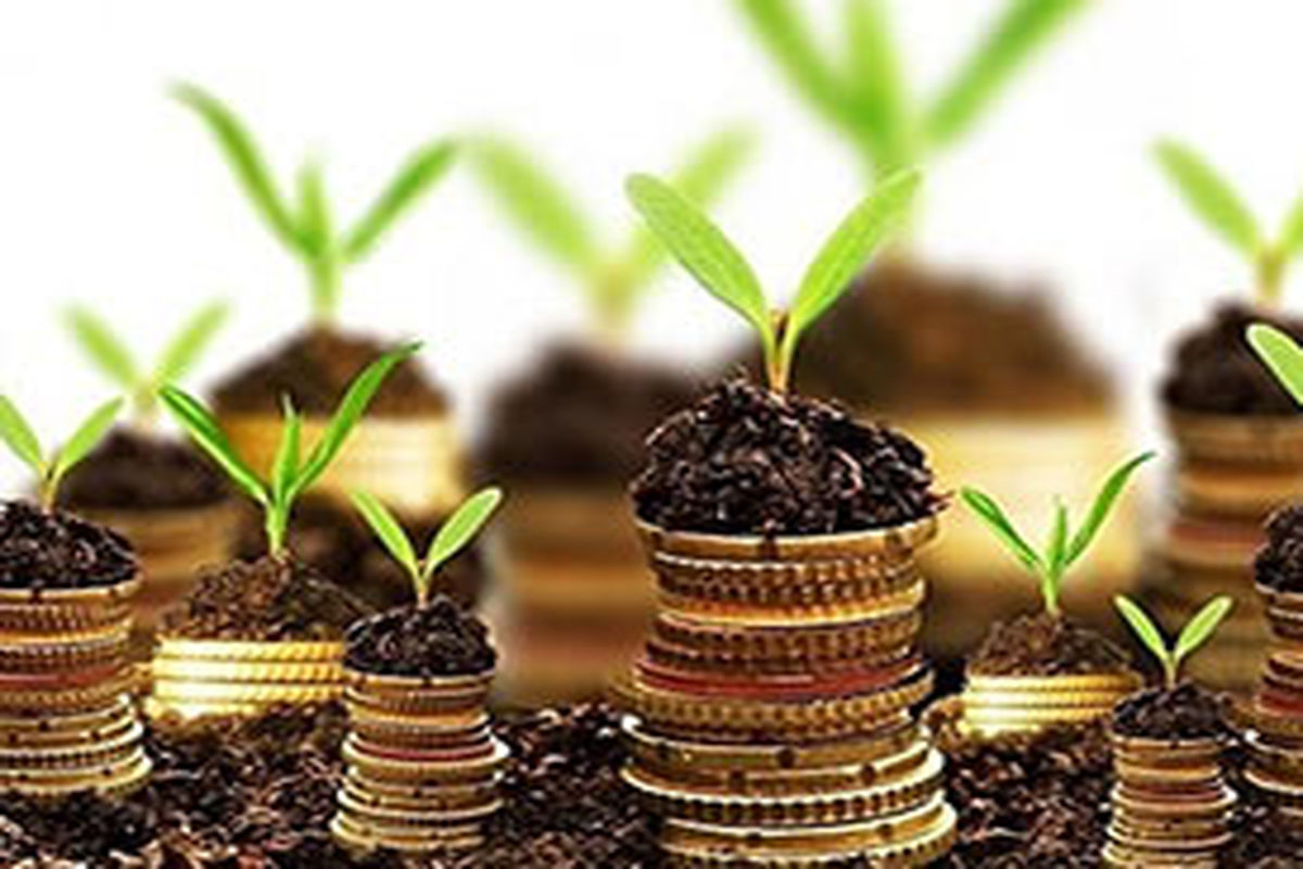 مجوز کشاورزی