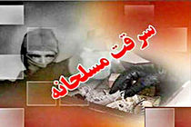 باند سرقت مسلحانه ۷میلیاردی در مشهد منهدم شد