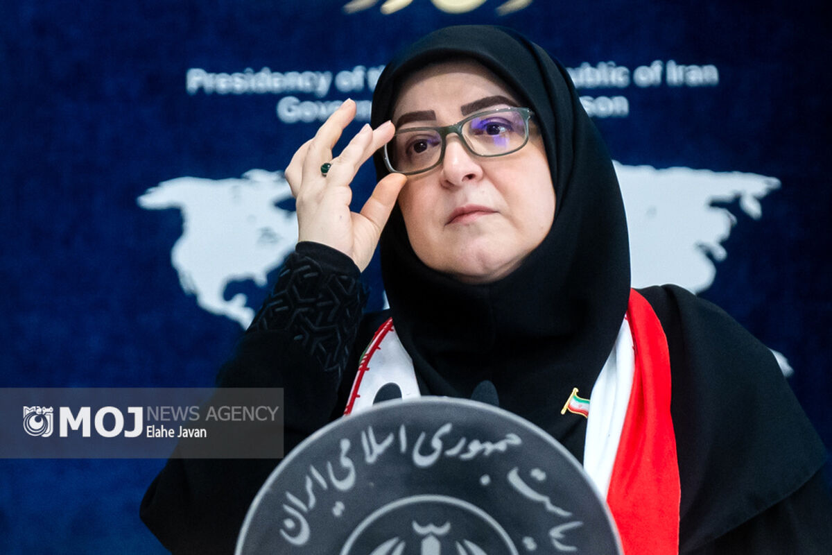 فاطمه مهاجرانی + سخنگوی دولت
