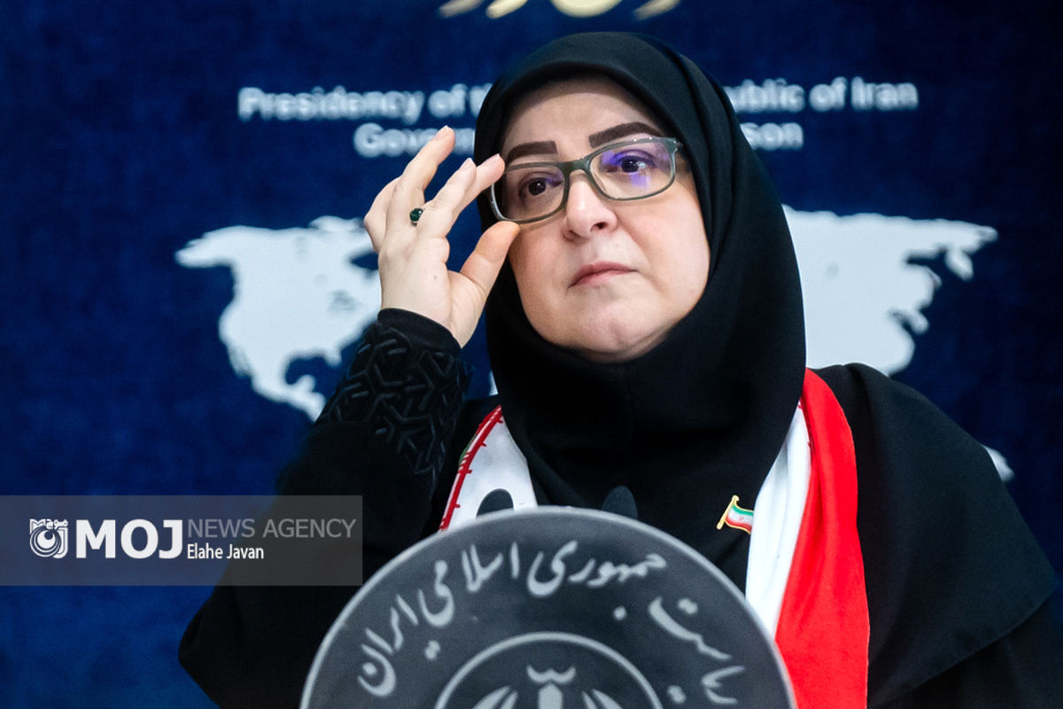 فاطمه مهاجرانی + سخنگوی دولت