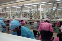 کارخانه تولید گوشی GLX در آستانه تعطیلی قرار گرفت