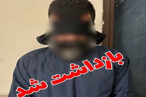 سارق سابقه‌دار به سرقت ۱۰ میلیاردی اعتراف کرد