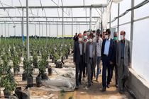 فعال سازی واحدهای راکد در اردبیل با جدیت ادامه داد