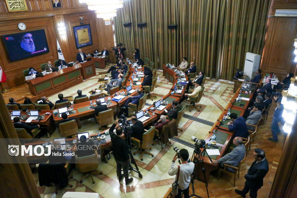 شورای شهر تهران با غیرباغ بودن چند پلاک ثبتی موافقت کرد