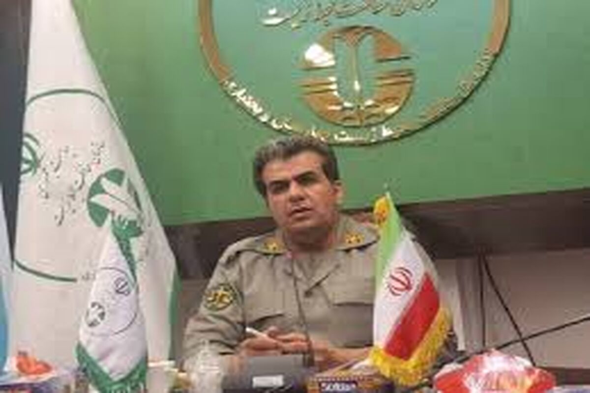 کریمی