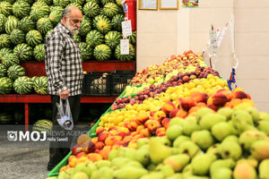 مدیرعامل سازمان تعاون روستایی از وضعیت میوه شب یلدا در میدان بار بازدید کرد