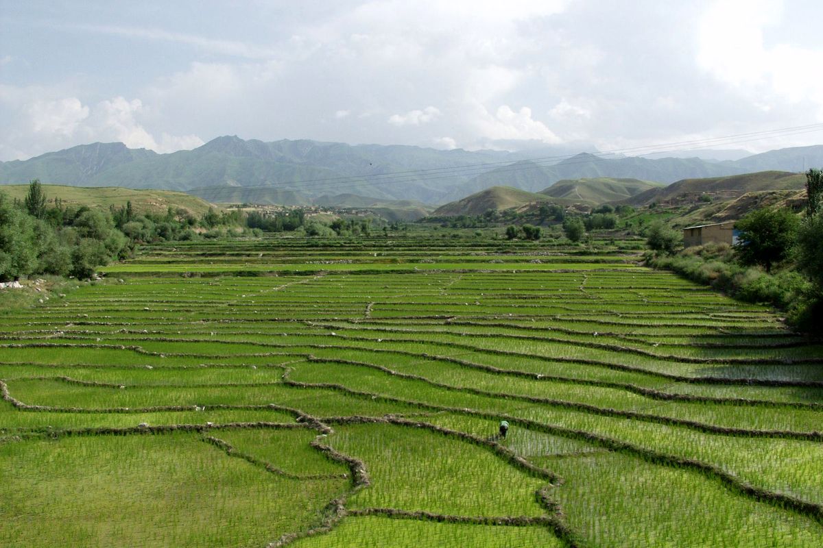 تغییر کاربری کشاورزی