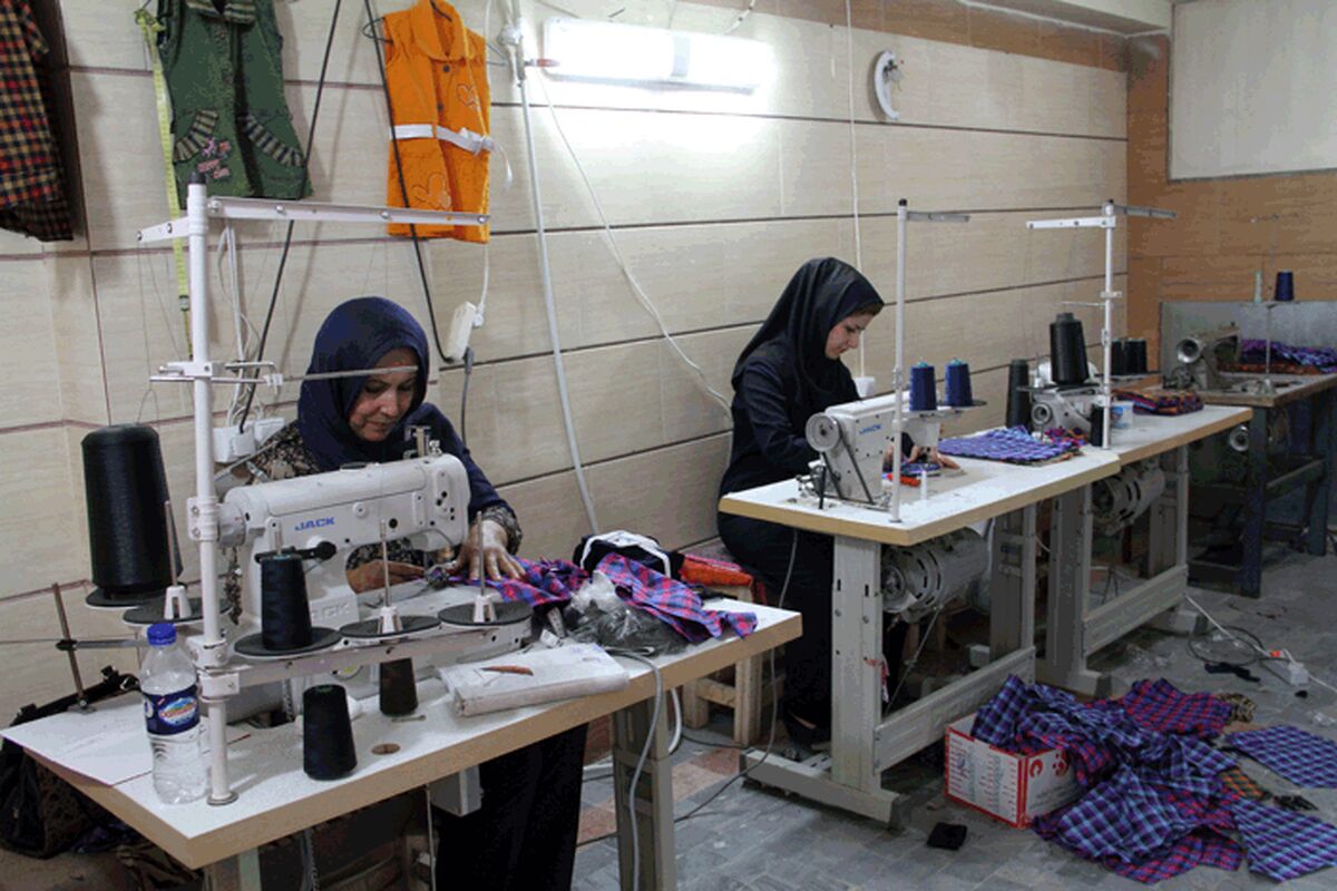 تعاون،کارو رفاه اجتماعی