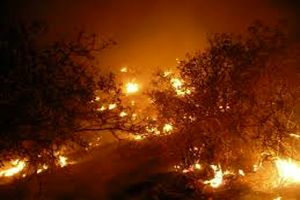 سه مظنون آتش سوزی پاسارگاد دستگیر شدند