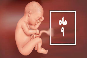 راهنمای کامل ماه نهم بارداری/ در ماه نهم بارداری چه می گذرد؟