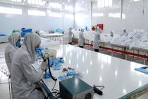 استفاده از ظرفیت شرکت‌های دانش بنیان برای جلوگیری از خام‌فروشی