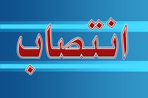 مسعود اسعدی دبیر شورای هماهنگی پاسداشت زبان فارسی شد