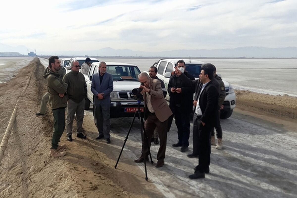 دامپزشکی