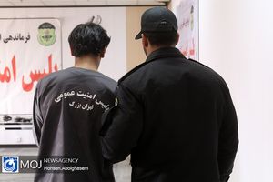 سارق مغازه های میبد دستگیر شد