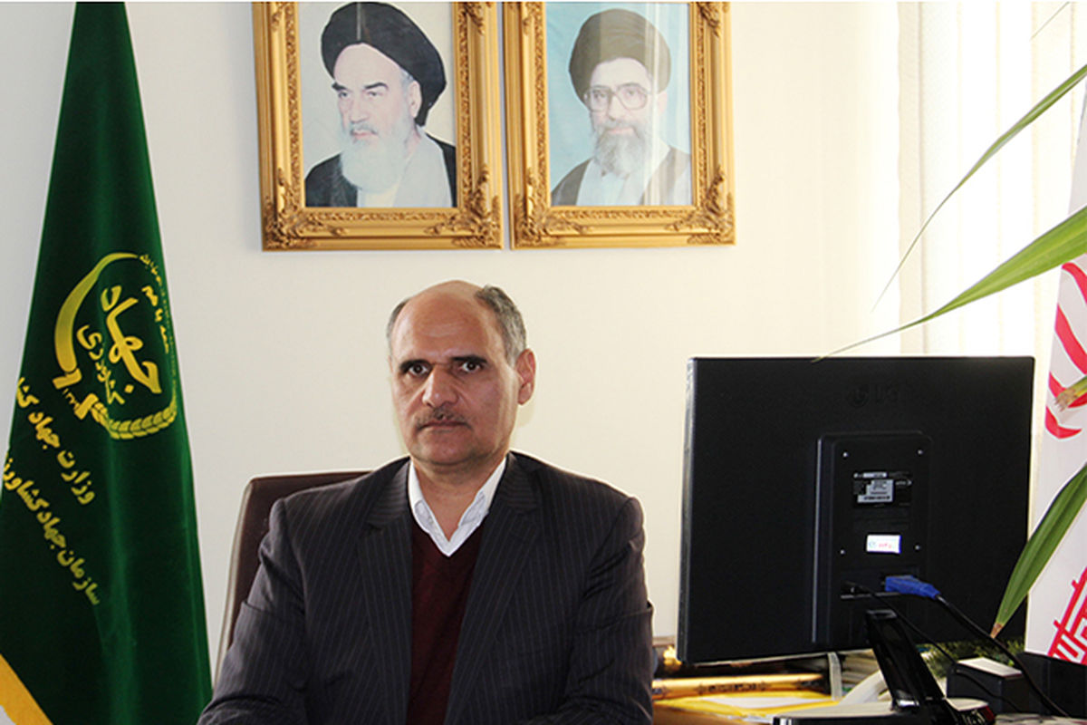 معاون سازمان جهاد کشاورزی خراسان‌ رضوی