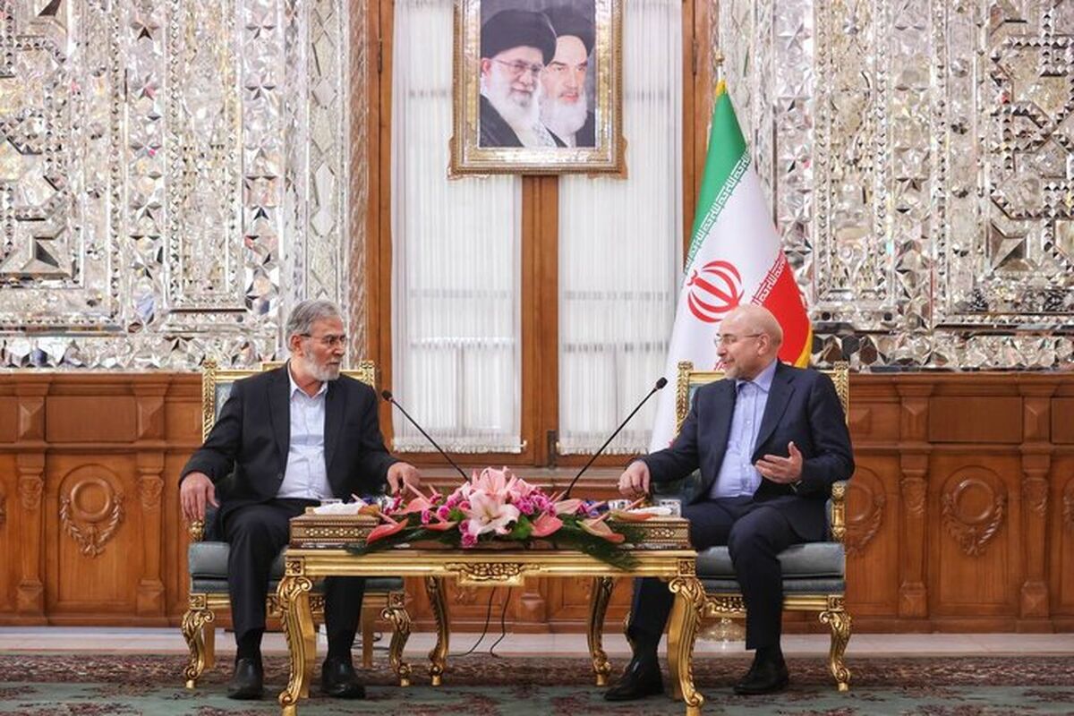 قالیباف