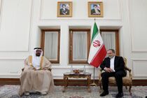 سفیر امارات در پایان ماموریت خود با عراقچی دیدار کرد