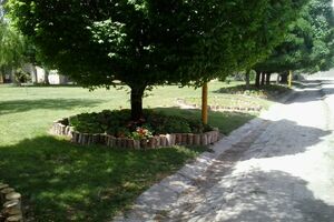 افزایش سرانه فضای سبز منطقه 17 در راستای اجرای طرح خدمت