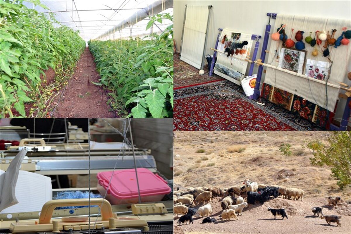اشتغال روستایی