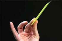 ترکیه خشن‌ترین و فرانسه پائین‌تر از آلمان و انگلیس