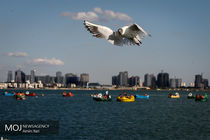 گشتی در دریاچه چیتگر