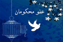 عفو ۳۰ نفر از محکومان در هرمزگان