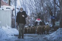 فیلم «چشم بادومی» برای حضور در جشنواره فجر آماده می‌شود
