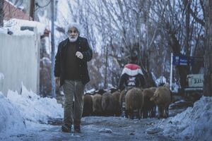 فیلم «چشم بادومی» برای حضور در جشنواره فجر آماده می‌شود