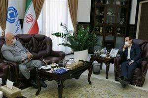 چالش بزرگ صنعت بیمه همگانی سازی بیمه های اختیاری است