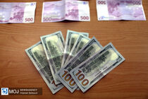 قیمت ارز امروز ۱۸ بهمن ۱۴۰۲ در بازار آزاد تهران مشخص شد