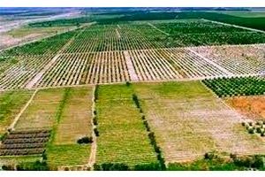 میزان فرسایش خاک در ایران سه برابر میانگین جهانی است