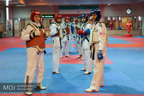  اردوی تیم تکواندوی دختران نوجوان از 14 خرداد برگزار می شود