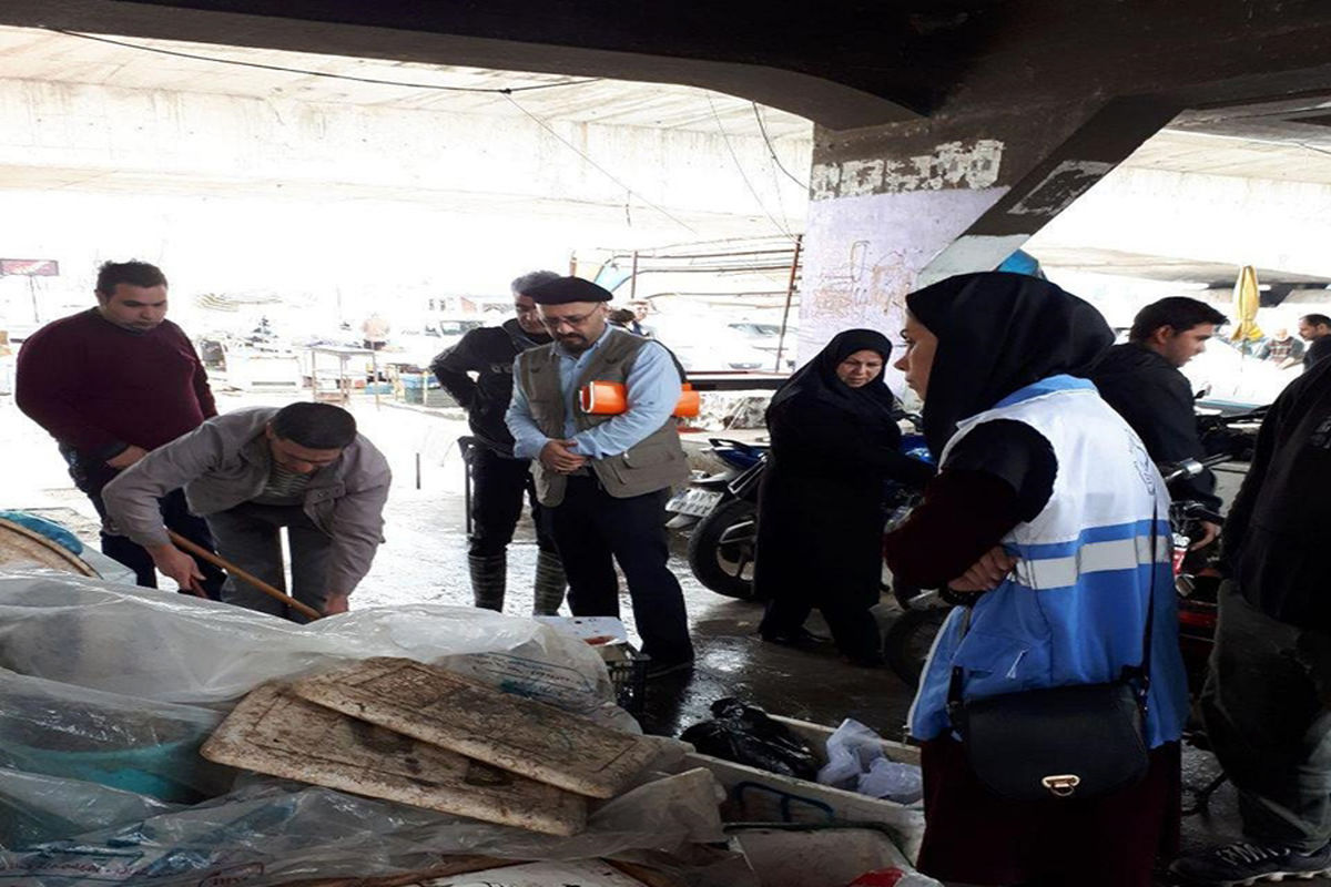 کشف ماهی فاسد