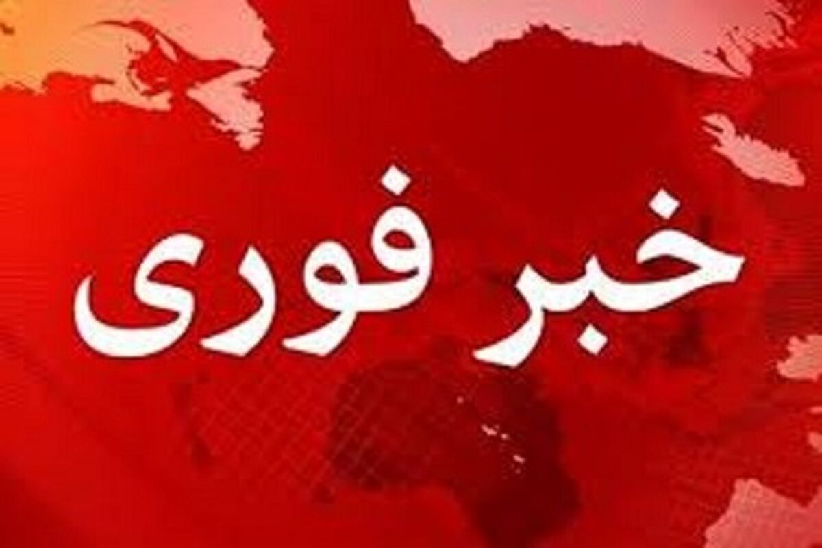 خبر فوری